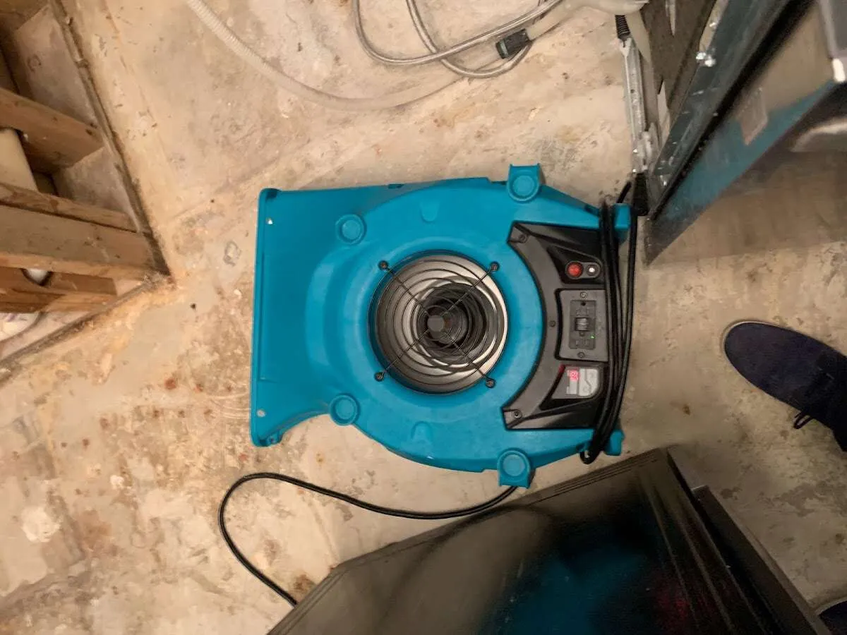 Air mover drying equipment for Mold Remediation & Removal in Lemont